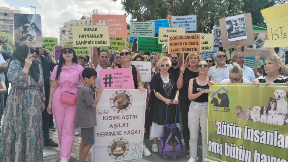 Hayvanseverler sokak hayvanları için toplandı: “kanun teklifi geri çekilmelidir”